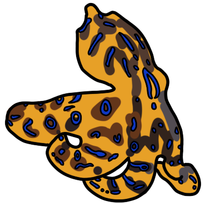 a blue-ringed octopus, drawn with black outline.